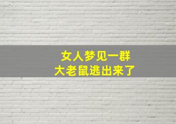 女人梦见一群大老鼠逃出来了