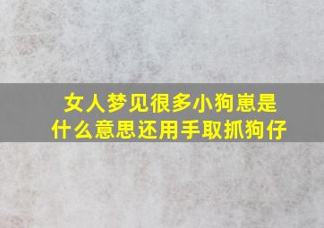 女人梦见很多小狗崽是什么意思还用手取抓狗仔