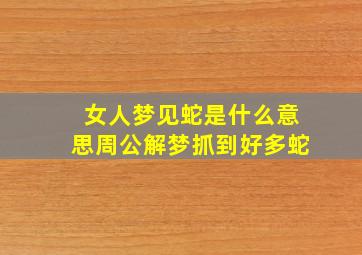 女人梦见蛇是什么意思周公解梦抓到好多蛇