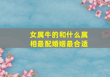 女属牛的和什么属相最配婚姻最合适