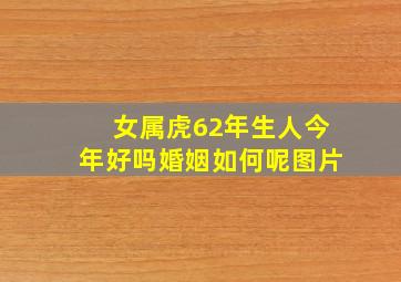 女属虎62年生人今年好吗婚姻如何呢图片