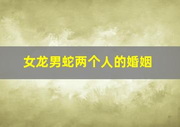 女龙男蛇两个人的婚姻