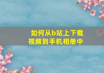 如何从b站上下载视频到手机相册中