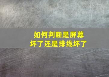 如何判断是屏幕坏了还是排线坏了