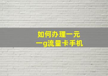 如何办理一元一g流量卡手机