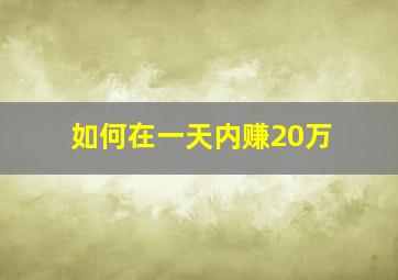 如何在一天内赚20万