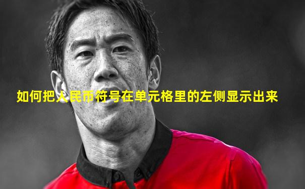 如何把人民币符号在单元格里的左侧显示出来