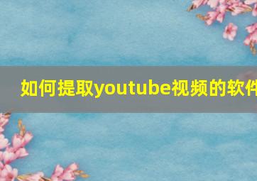 如何提取youtube视频的软件