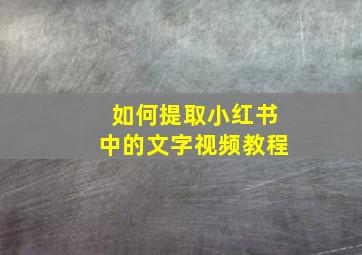 如何提取小红书中的文字视频教程