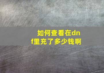 如何查看在dnf里充了多少钱啊