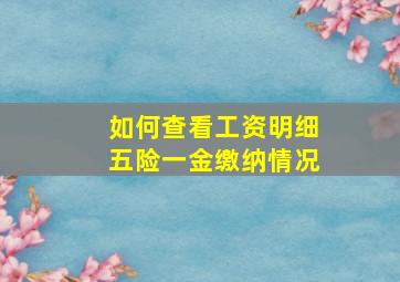 如何查看工资明细五险一金缴纳情况