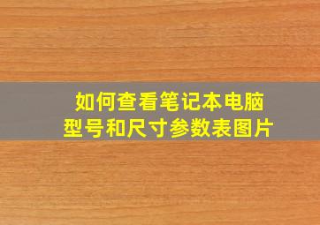 如何查看笔记本电脑型号和尺寸参数表图片