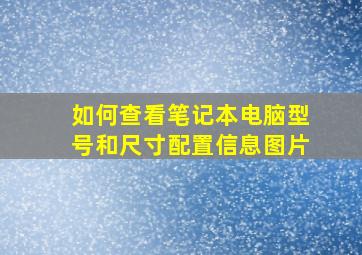 如何查看笔记本电脑型号和尺寸配置信息图片