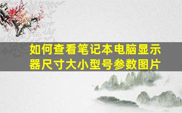 如何查看笔记本电脑显示器尺寸大小型号参数图片