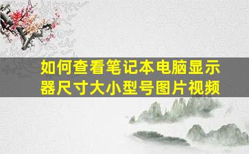 如何查看笔记本电脑显示器尺寸大小型号图片视频