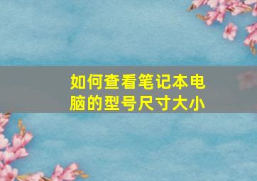 如何查看笔记本电脑的型号尺寸大小