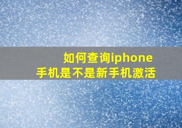 如何查询iphone手机是不是新手机激活