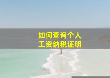 如何查询个人工资纳税证明