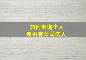 如何查询个人是否有公司法人