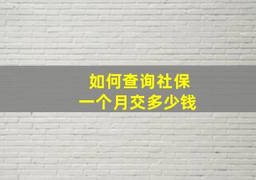 如何查询社保一个月交多少钱