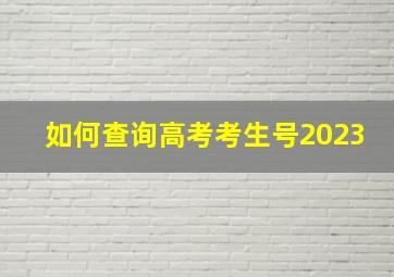 如何查询高考考生号2023