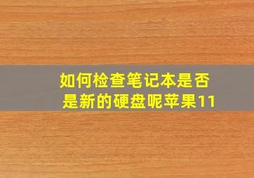 如何检查笔记本是否是新的硬盘呢苹果11