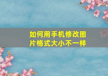 如何用手机修改图片格式大小不一样