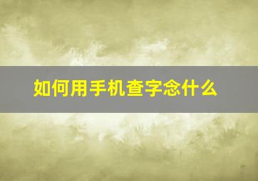 如何用手机查字念什么