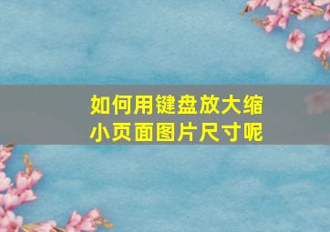 如何用键盘放大缩小页面图片尺寸呢