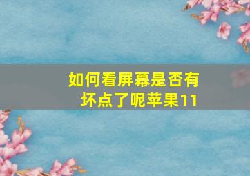 如何看屏幕是否有坏点了呢苹果11