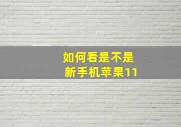 如何看是不是新手机苹果11