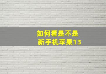 如何看是不是新手机苹果13