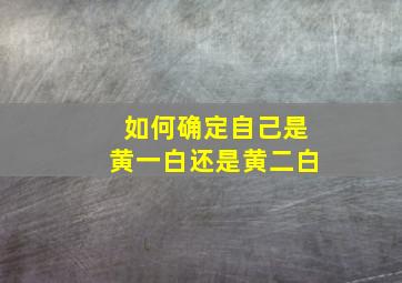 如何确定自己是黄一白还是黄二白