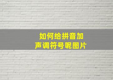 如何给拼音加声调符号呢图片