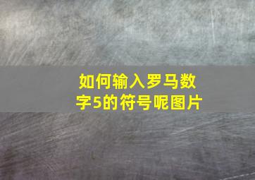 如何输入罗马数字5的符号呢图片