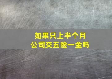 如果只上半个月公司交五险一金吗