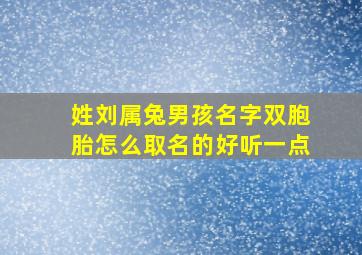 姓刘属兔男孩名字双胞胎怎么取名的好听一点