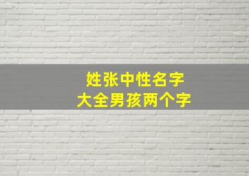 姓张中性名字大全男孩两个字