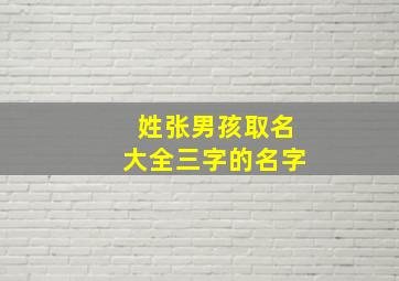 姓张男孩取名大全三字的名字