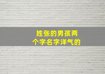 姓张的男孩两个字名字洋气的