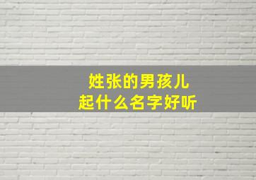 姓张的男孩儿起什么名字好听