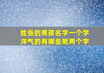 姓张的男孩名字一个字洋气的有哪些呢两个字