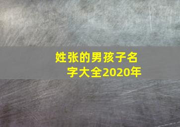 姓张的男孩子名字大全2020年