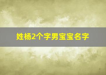 姓杨2个字男宝宝名字