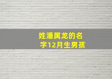 姓潘属龙的名字12月生男孩