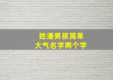 姓潘男孩简单大气名字两个字