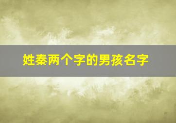 姓秦两个字的男孩名字