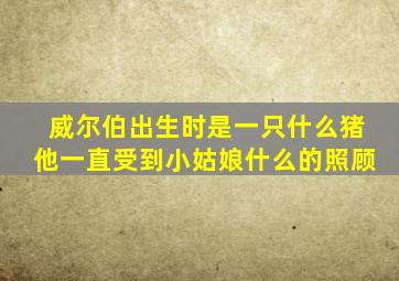 威尔伯出生时是一只什么猪他一直受到小姑娘什么的照顾