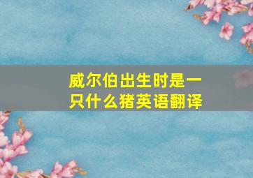 威尔伯出生时是一只什么猪英语翻译