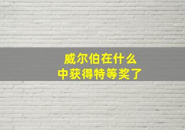 威尔伯在什么中获得特等奖了